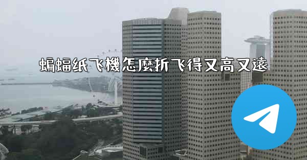 蝙蝠纸飞機怎麼折飞得又高又遠