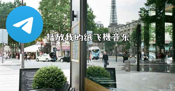 播放我的纸飞機音乐