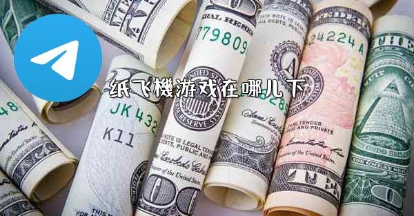 <b>纸飞機游戏在哪儿下</b>