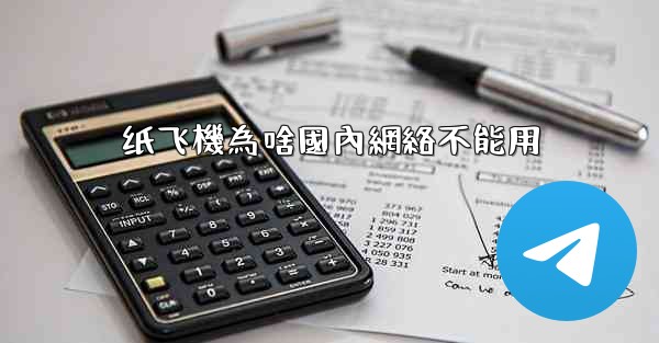 纸飞機為啥國內網絡不能用