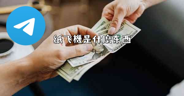 纸飞機是什麼东西