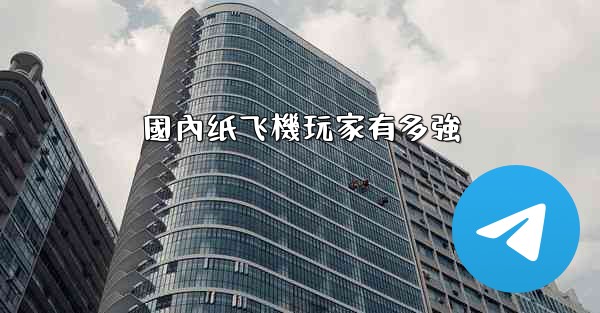 國內纸飞機玩家有多強
