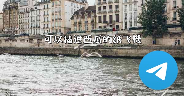 <b>可以插进西瓜的纸飞機</b>