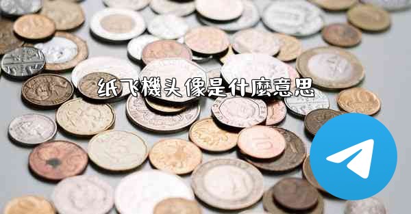 纸飞機头像是什麼意思