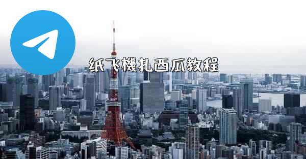 <b>纸飞機扎西瓜教程</b>