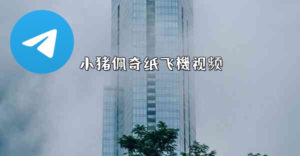 小猪佩奇纸飞機视频