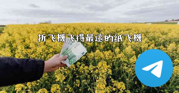 <b>折飞機飞得最遠的纸飞機</b>