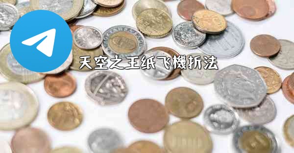 天空之王纸飞機折法