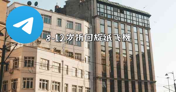 8-12岁折回旋纸飞機