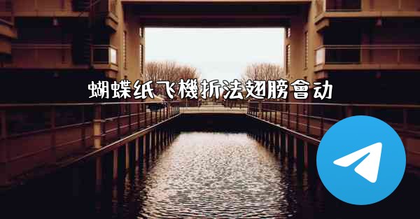 蝴蝶纸飞機折法翅膀會动