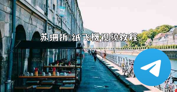 苏珊折叠纸飞機视频教程