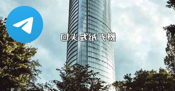 <b>回头式纸飞機</b>