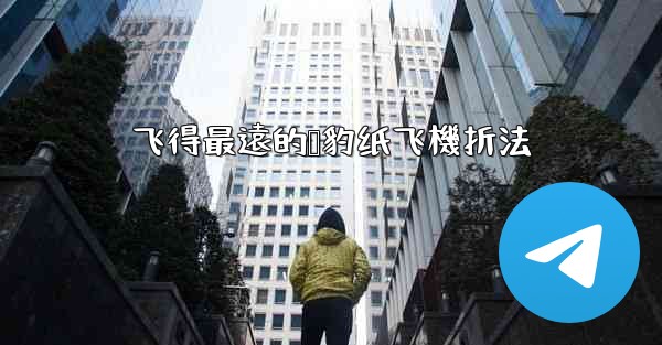 <b>飞得最遠的猎豹纸飞機折法</b>