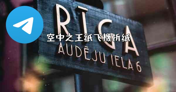 <b>空中之王纸飞機折纸</b>