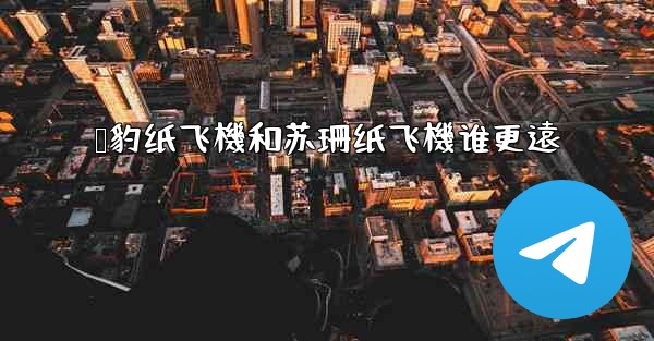 猎豹纸飞機和苏珊纸飞機谁更遠