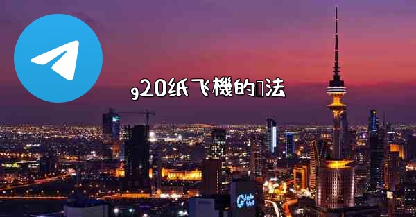 <b>g20纸飞機的叠法</b>