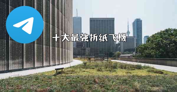 <b>十大最強折纸飞機</b>