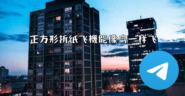 正方形折纸飞機能像鸟一样飞