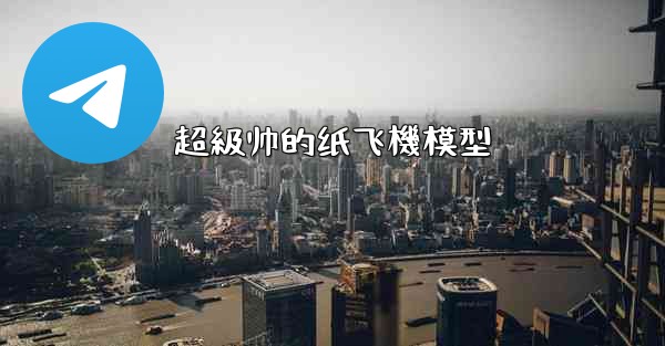 超級帅的纸飞機模型