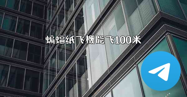 蝙蝠纸飞機能飞100米