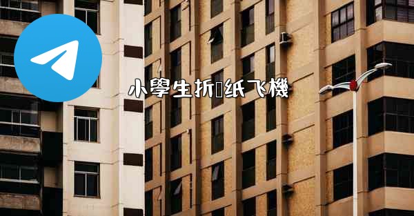 <b>小學生折叠纸飞機</b>