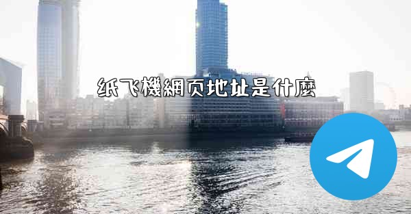 纸飞機網页地址是什麼