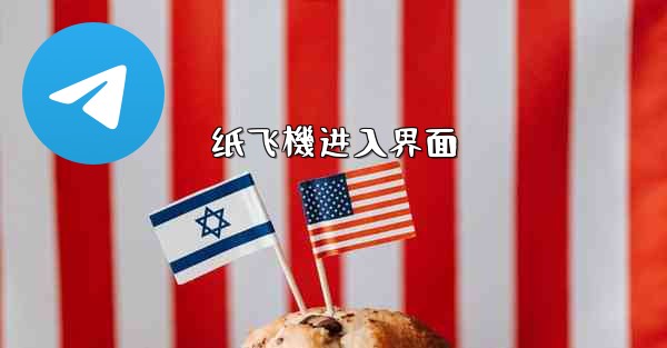 <b>纸飞機进入界面</b>