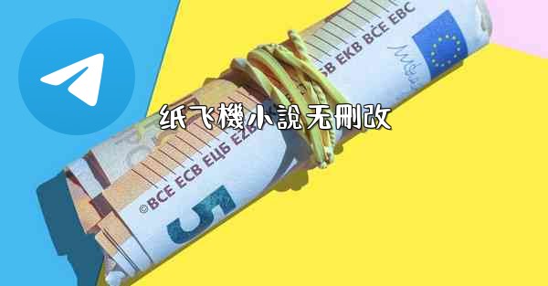 纸飞機小說无刪改