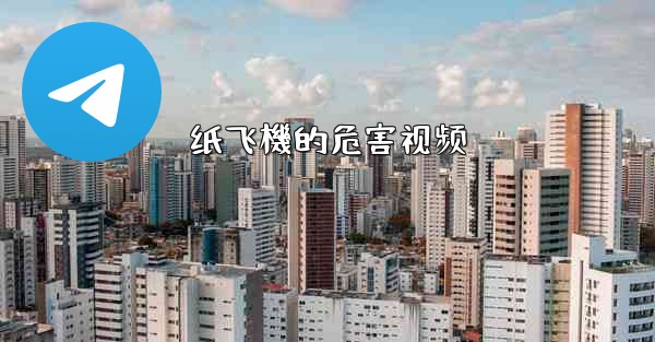 纸飞機的危害视频