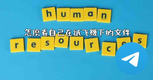 怎麼看自己在纸飞機下的文件