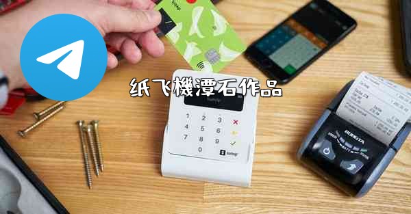 纸飞機潭石作品