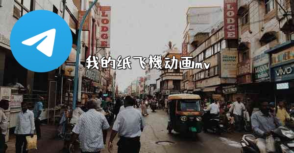 我的纸飞機动画mv