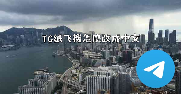 TG纸飞機怎麼改成中文