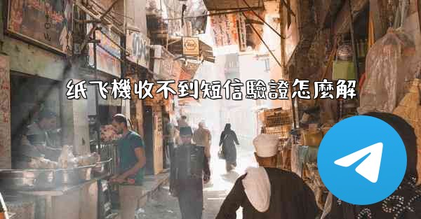 <b>纸飞機收不到短信驗證怎麼解</b>