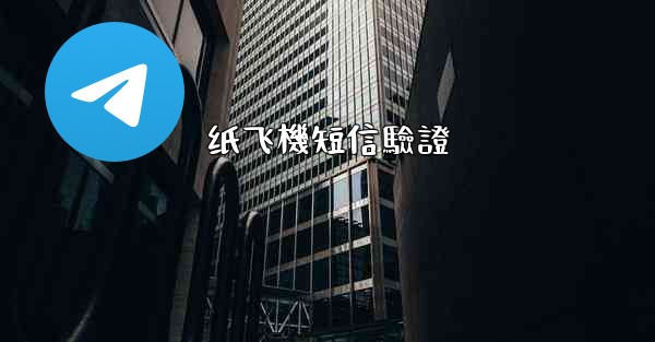 纸飞機短信驗證