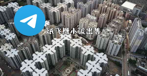 纸飞機小號出售