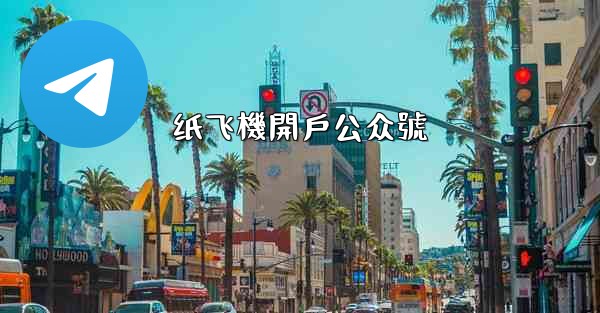 纸飞機開戶公众號