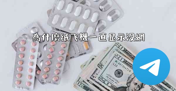 為什麼纸飞機一直显示没網