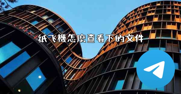 纸飞機怎麼查看下的文件