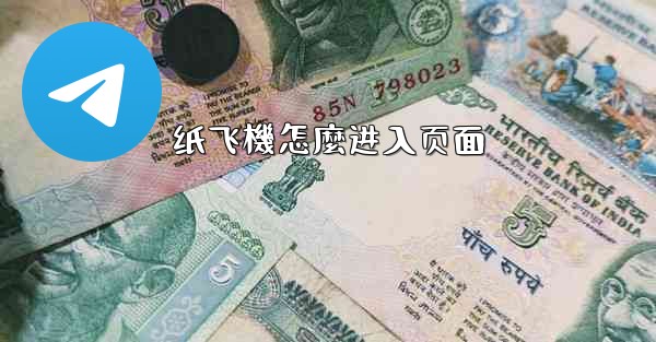 纸飞機怎麼进入页面