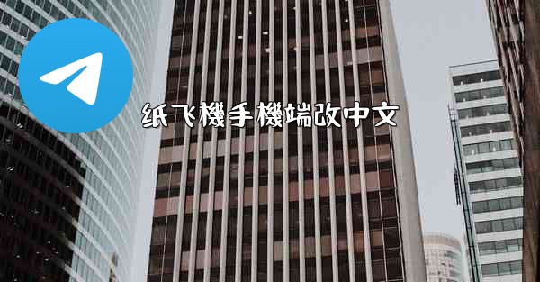 纸飞機手機端改中文