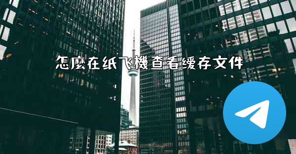 <b>怎麼在纸飞機查看缓存文件</b>