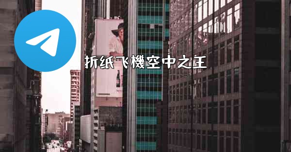 折纸飞機空中之王
