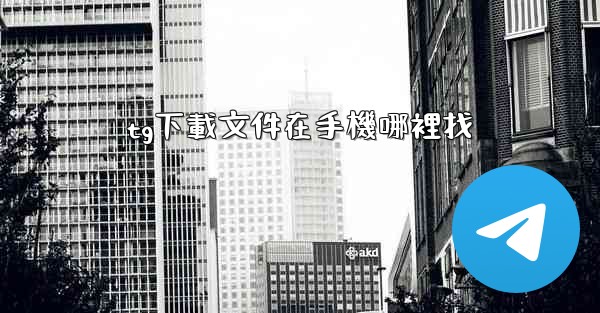 tg下載文件在手機哪裡找