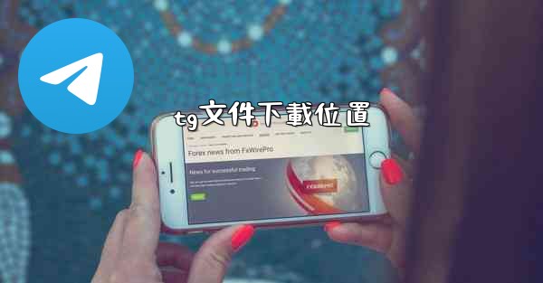 <b>tg文件下載位置</b>