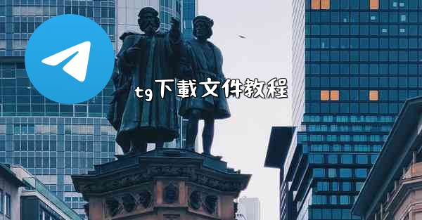 tg下載文件教程