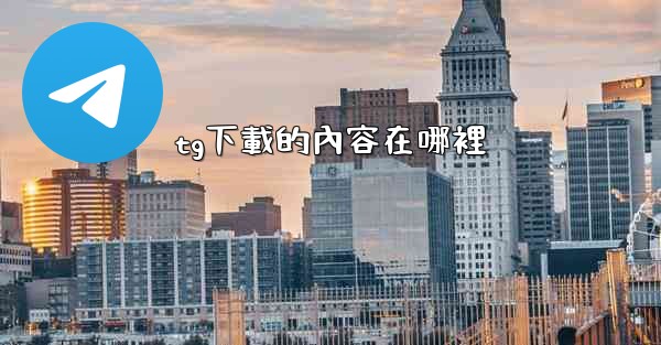 tg下載的內容在哪裡