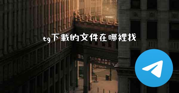 tg下載的文件在哪裡找