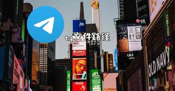 tg文件路径