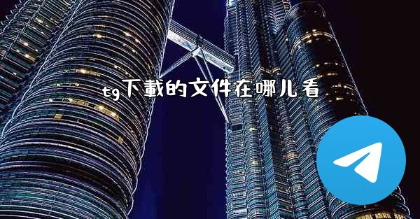 tg下載的文件在哪儿看